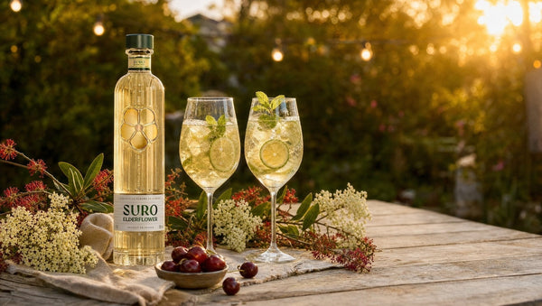 The Hugo Spritz: How to Make It at Home, and Which Elderflower Liqueur to Use - Liquor Wine Cave