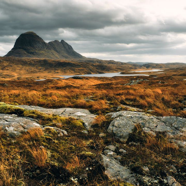 Scotch Whisky Regions Explained: What the Label Tells You and What It Doesn't - Liquor Wine Cave
