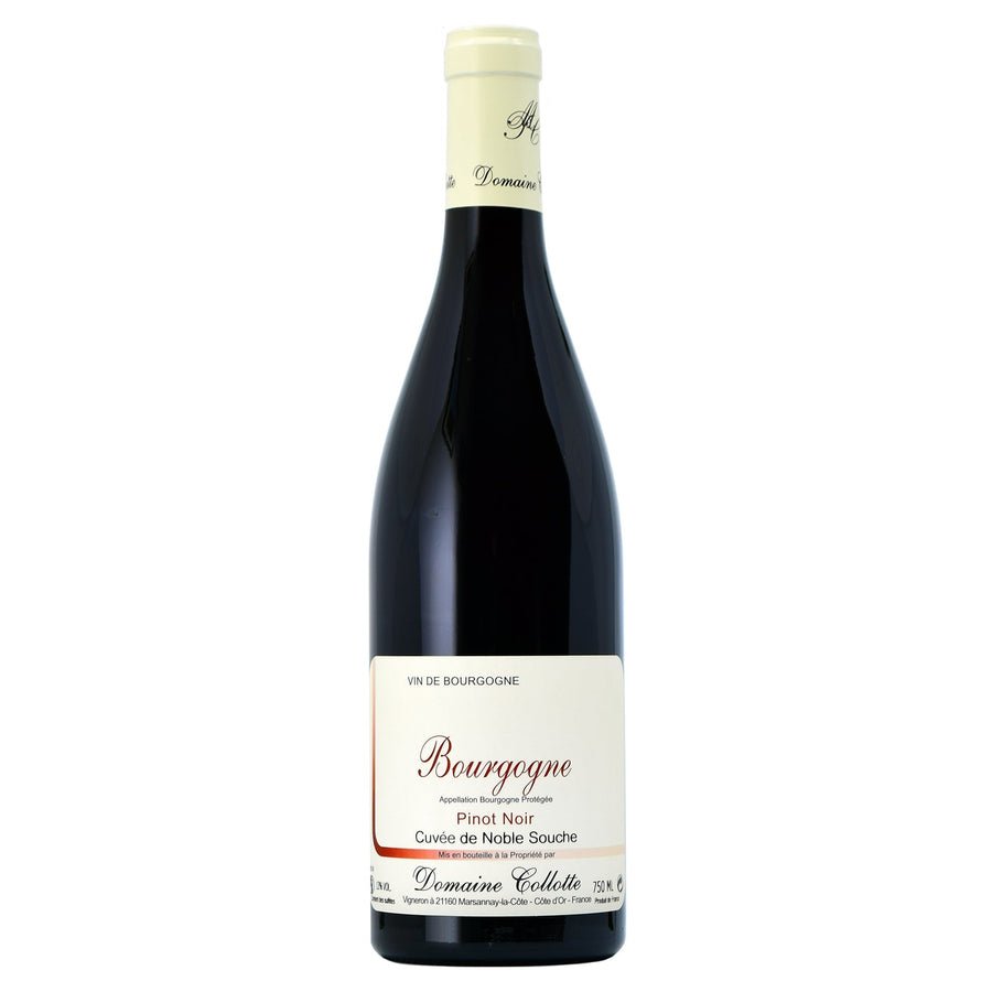 Collotte Bourgogne Rouge 2023 - Wine France Red - Liquor Wine Cave