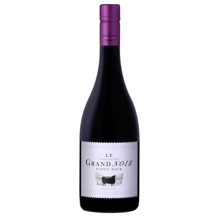 Le Grand Noir Pinot Noir 2022 Case of 12 - France red wine - Liquor Wine Cave