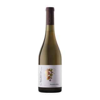 Marcel Couturier Bourgogne Blanc 2023